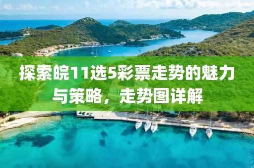 探索皖11选5彩票走势的魅力与策略，走势图详解