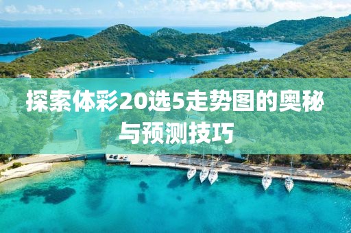 探索体彩20选5走势图的奥秘与预测技巧