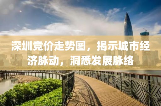 深圳竞价走势图，揭示城市经济脉动，洞悉发展脉络